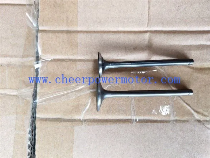 Motorcycle Engine Valve for Honda CB1 (1)
