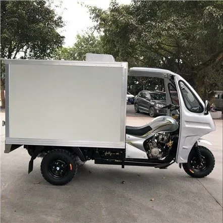 Triċiklu Refriġerat 300cc Bil-Kaxxa tal-Kunsinna tal-Ħażna kiesħa